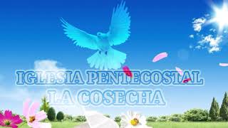 Alabanzas Para DiosIglesia Pentecostal LA COSECHA´´ [upl. by Roberts955]