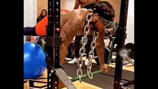 Derrick Henrys INSANE workout will leave you speechless [upl. by Weisburgh]