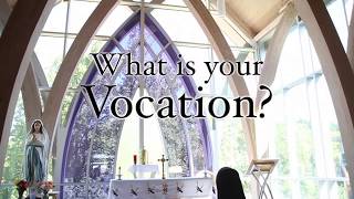 What is my vocation [upl. by Julissa]