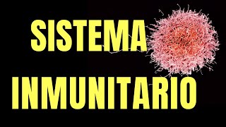 SISTEMA INMUNITARIO HUMANO [upl. by Hasan]