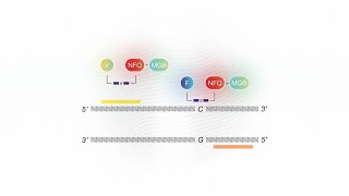 How it Works TaqMan SARSCoV2 Mutation Panel [upl. by Melisande]