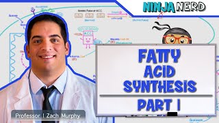 Metabolism  Fatty Acid Synthesis Part 1 [upl. by Harve]