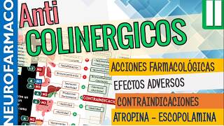 Antimuscarínicos EFECTOS SISTÉMICOS ACCIÓN FARMACOLÓGICA Naturales ATROPINA ESCOPOLAMINA Parte2 [upl. by Castra]