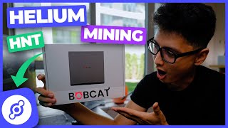 Helium Mining HNT Bobcat Miner 300 Unboxing amp How to Setup [upl. by Aeriell]