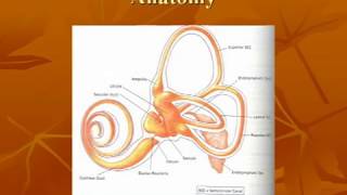 Vestibular System Anatomy [upl. by Spain286]