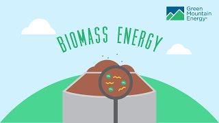 Renewable Energy 101 How Does Biomass Energy Work [upl. by Kielty736]