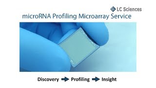 microRNA Microarray Service [upl. by Ahsienahs]