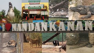 Indias 2nd largest Zoo  Nandankanan Zoological Park Bhubaneswar  Nandankanan Zoo full tour [upl. by Manheim924]