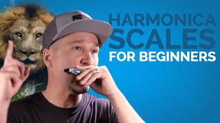 Harmonica Scales For Beginners While Learning to Play Something Cool [upl. by Nosae]