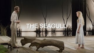 Chekhov The Seagull [upl. by Vial]