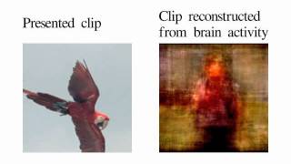 20190219 Lesson1Course Overview of fMRI Analysis [upl. by Nerdna]