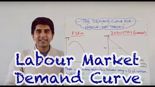 Labour Demand Curve Market and Firm [upl. by Edris]