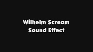 Wilhelm Scream SFX [upl. by Aleinad]