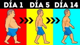 ¿Cuántas Calorías Debes Consumir Para Perder Peso [upl. by Hsenid92]