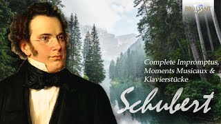 Schubert Complete Impromptus Moments Musicaux amp Klavierstücke [upl. by Schaffer]