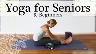 Senior amp Beginner Workout  15 minute Gentle Chair Yoga [upl. by Edgerton]