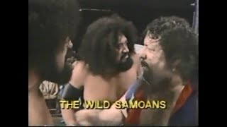 Rocky Johnson amp Tony Atlas vs Wild Samoans Championship Wrestling Nov 26th 1983 [upl. by Dail]