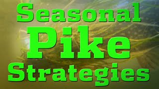 Seasonal Pike Strategies [upl. by Neyrb990]