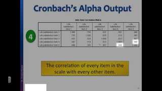 Reliability test Interpret Cronbachs alpha output in SPSS [upl. by Einnob694]