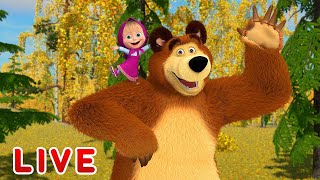 Masha and the Bear 🎬💥 LIVE STREAM 💥🎬 Best cartoons for children [upl. by Alaaj]