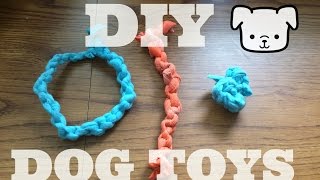 3 Easy DIY Dog Toys [upl. by Eixam161]