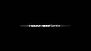 Gözlerinin Yeşilini Özledim  Siyah Ekran Lyric [upl. by Guildroy44]