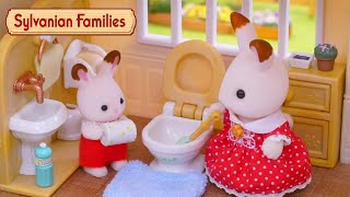 Spring Clean ✨🌸 Toy Play Compilation  Sylvanian Families [upl. by Nolahs]