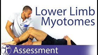 Myotomes Lower Limb  Peripheral Neurological Examination [upl. by Stavros]