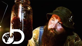 This Sweet Tasting Mulberry Infused Whisky Will Blow Your Mind  Moonshiners [upl. by Imre831]