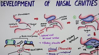 ɱ  voiced labiodental nasal stop [upl. by Odnuges]