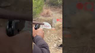 Norinco 30 bore at range [upl. by Sirred126]