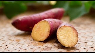 Quem tem diabete pode comer batata doce Receitas para Diabéticos [upl. by Tychonn]