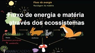 Fluxo de energia e matéria através dos ecossistemas  Ecologia  Biologia  Khan Academy [upl. by Shiller]