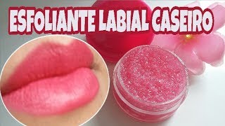 ESFOLIANTE LABIAL CASEIRO  FÁCIL DE FAZER  Lábios Lisinhos e Super Hidratados [upl. by Yolande]