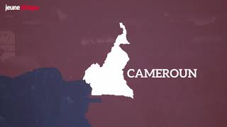 Cameroun  la crise anglophone expliquée en 2 minutes [upl. by Fuld]