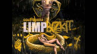 Limp Bizkit  Bring It Back Gold Cobra 2011 HDHQ [upl. by Akinirt653]