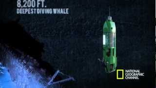 The Life Aquatic with James Cameron  Mariana Trench Dive [upl. by Biegel]