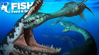 GIANTS IN A PREHISTORIC OCEAN  Fish Feed and Grow  HD [upl. by Ihana]