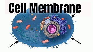 Cell membraneStructure and Function [upl. by Nylrac]