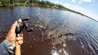 Tackle for BIG Canadian Pike [upl. by Kellyann]