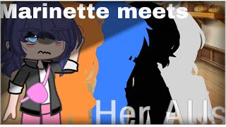 Marinette meets her AUs alternative universes  MLB [upl. by Myrlene]