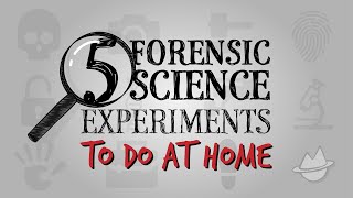 5 Simple CrimeSolving Science Experiments To Do At Home [upl. by Kinsley]