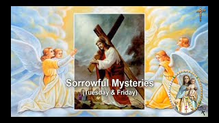 SORROWFUL MYSTERIES TUESDAY amp FRIDAY [upl. by Seko]