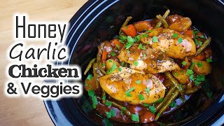 Slow Cooker Honey Garlic Chicken amp Veggies  Whats For Din  Courtney Budzyn  Recipe 65 [upl. by Aidam702]