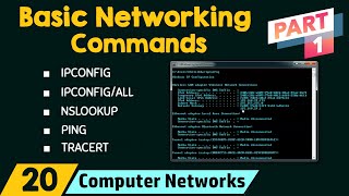 Basic Networking Commands Part 1 [upl. by Esinart]