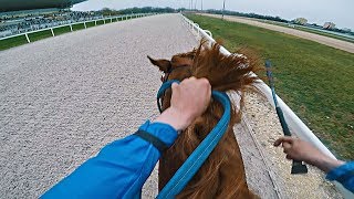 NEW RECORD 1 Place Graded 3 Race 1400 m 1257  Zwegat GER  Kincsem park Budapest  GoPro [upl. by Vaughan]