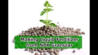 Making Liquid Fertilizer From NPK Granular [upl. by Guerin]