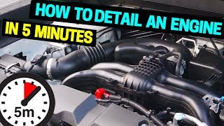 Clean amp Detail Your Car Engine in 5 Minutes [upl. by Yllop]