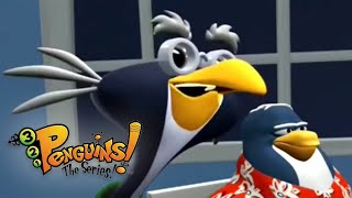 Wise Guys  321 Penguins Full Episodes  Kids Shows [upl. by Denten]