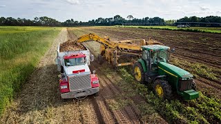 Potato Harvesting  Where Chips Begin [upl. by Yelah991]